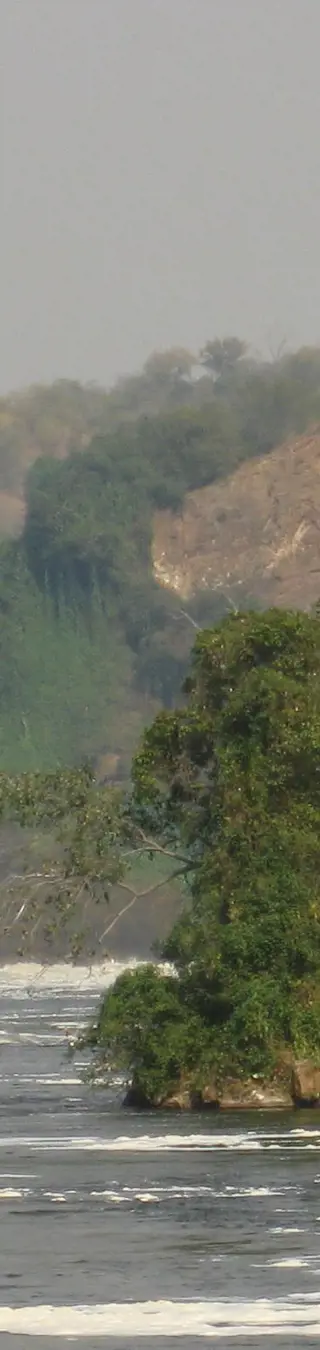 Schimpansen auf der Spur im Murchison Falls Nationalpark
